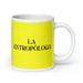 La Antropóloga The Anthropologist Funny Home Office Work Coffee Mug Mexican Spanish Pride Gift White Glossy Cup Yellow Card Mug Mexicada 20 oz